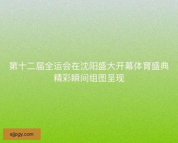 第十二届全运会在沈阳盛大开幕体育盛典精彩瞬间组图呈现